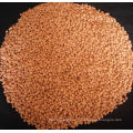 Granular NPK 15-5-20+2MgO Compound Fertilizer for Agriculture Use from Manufacturer in China